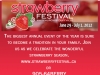 strawberry-festival